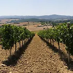 カントリーハウス Podere Schioppello Casale Con Privati *