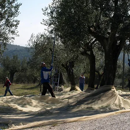 Podere Schioppello Casale Con Privati Landsted