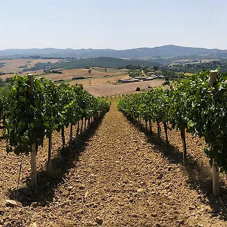 Casa rural Podere Schioppello Casale Con Privati *