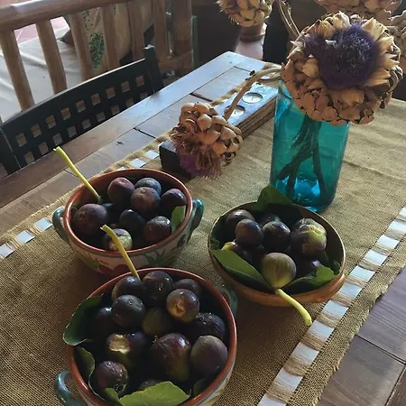 Casa rural Podere Schioppello Casale Con Privati Cibottola