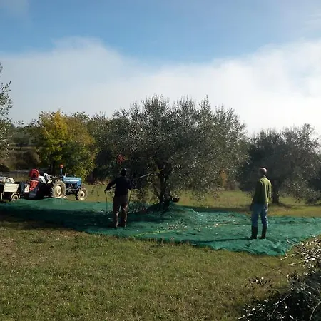 Casa rural Podere Schioppello Casale Con Privati *