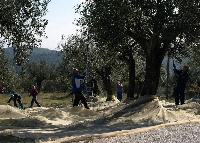Podere Schioppello Casale Con Privati Landhaus