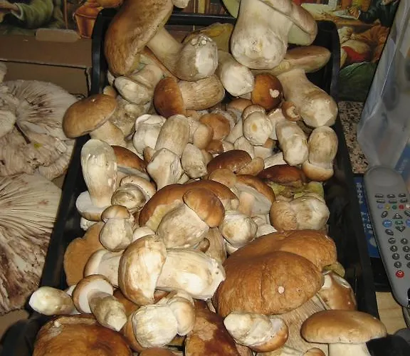 Podere Schioppello Casale Con Privati Venkovský dům *