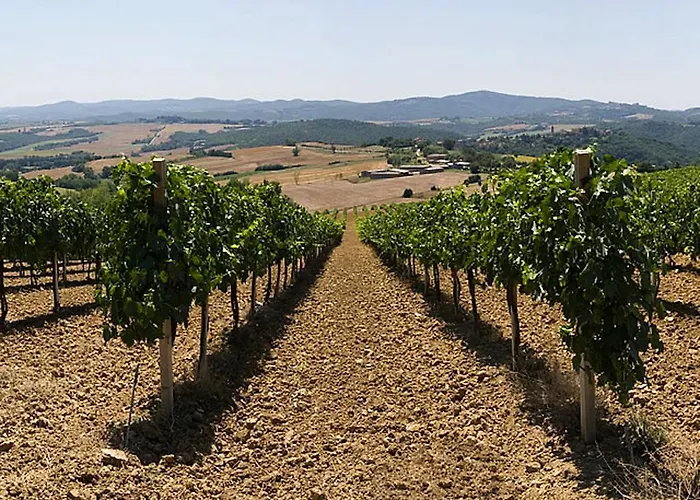 Venkovský dům Podere Schioppello Casale Con Privati *